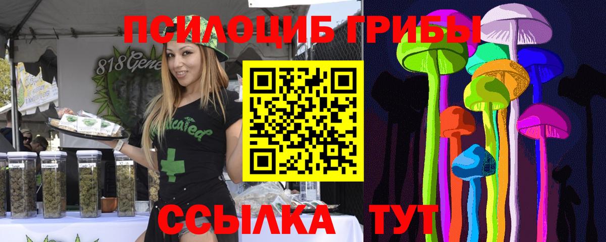 Псилоцибиновые грибы мицелий Нововоронеж