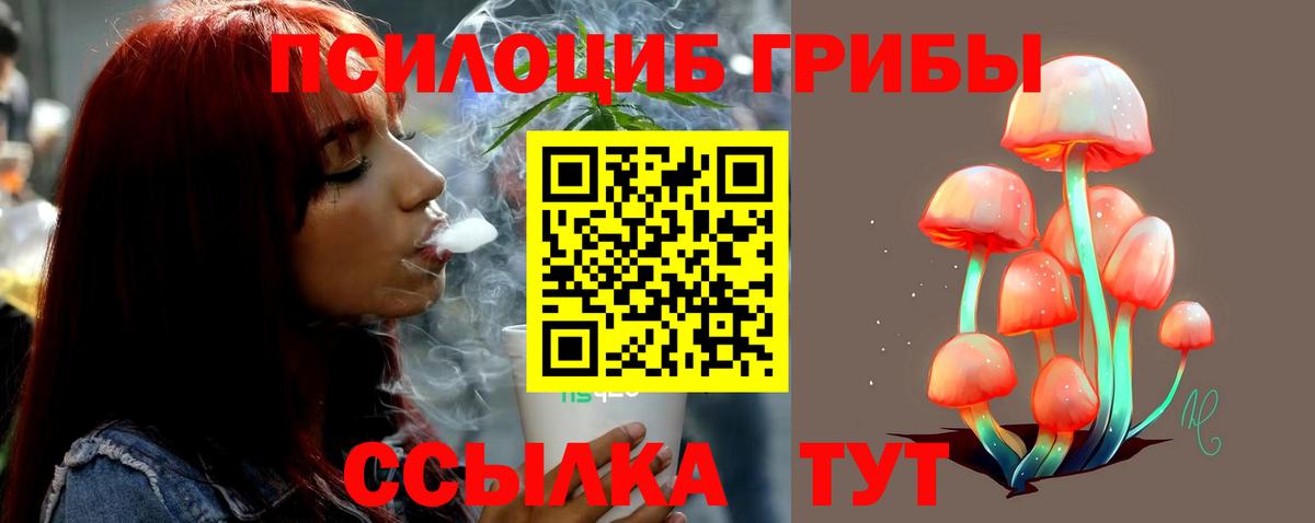 Галлюциногенные грибы Нововоронеж